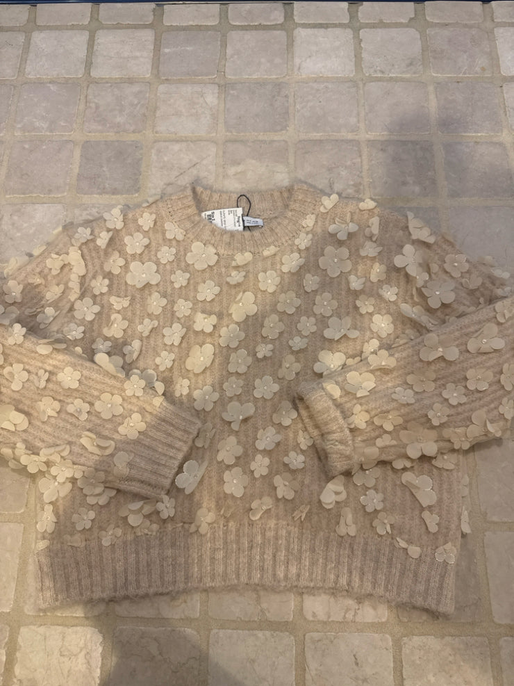 Zara Sweaters (Pre-owned)