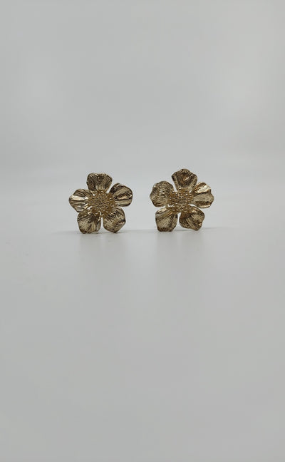 Tiffany & Co Earrings (Pre-owned)