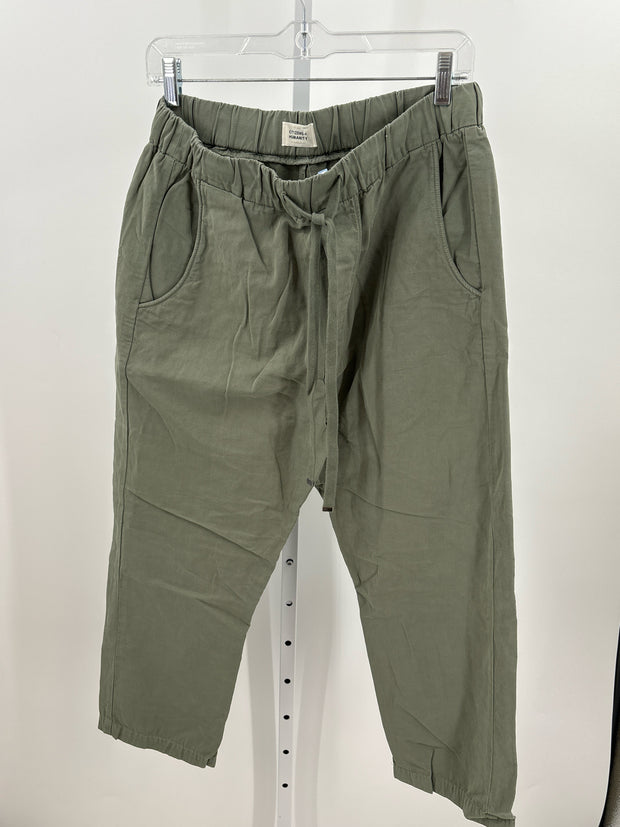 Citizens of Humanity Pants (Pre-owned)