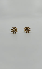 Tiffany & Co Earrings (Pre-owned)