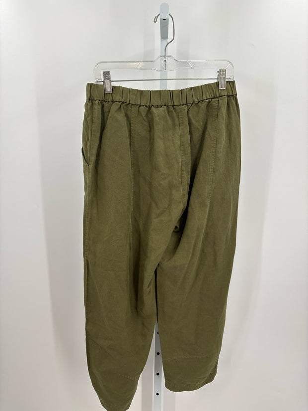 Eileen Fisher Pants (Pre-owned)
