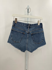 AGOLDE Size 25 Shorts (Pre-owned)