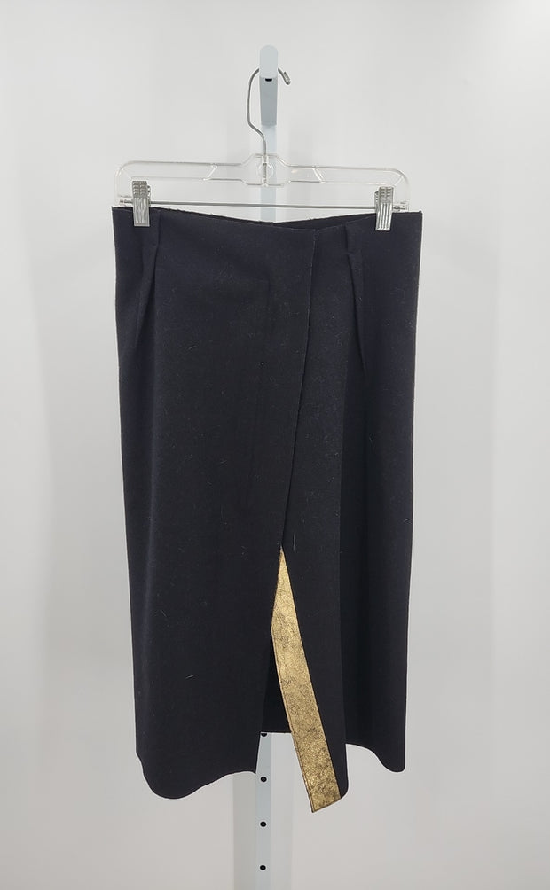 Jil Sander Skirts (Pre-owned)