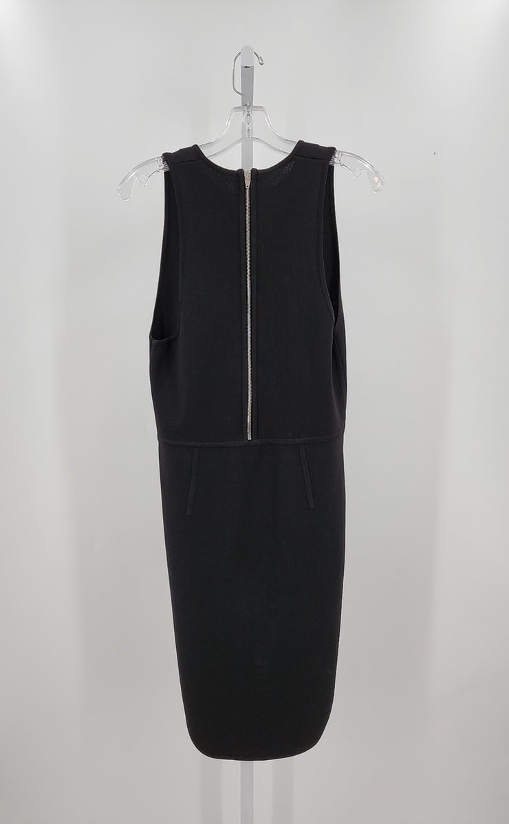 Alexander Wang Size L Dresses (Pre-owned)