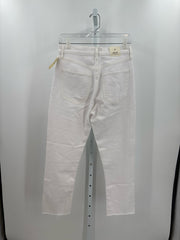 AGOLDE Jeans (Pre-owned)