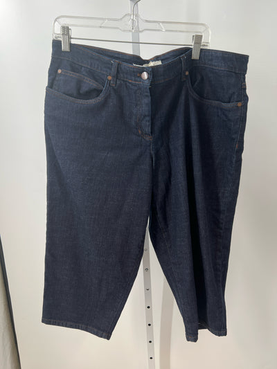 Eileen Fisher Size XL Shorts (Pre-owned)