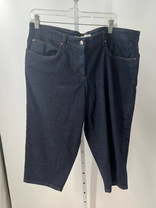 Eileen Fisher Size XL Shorts (Pre-owned)