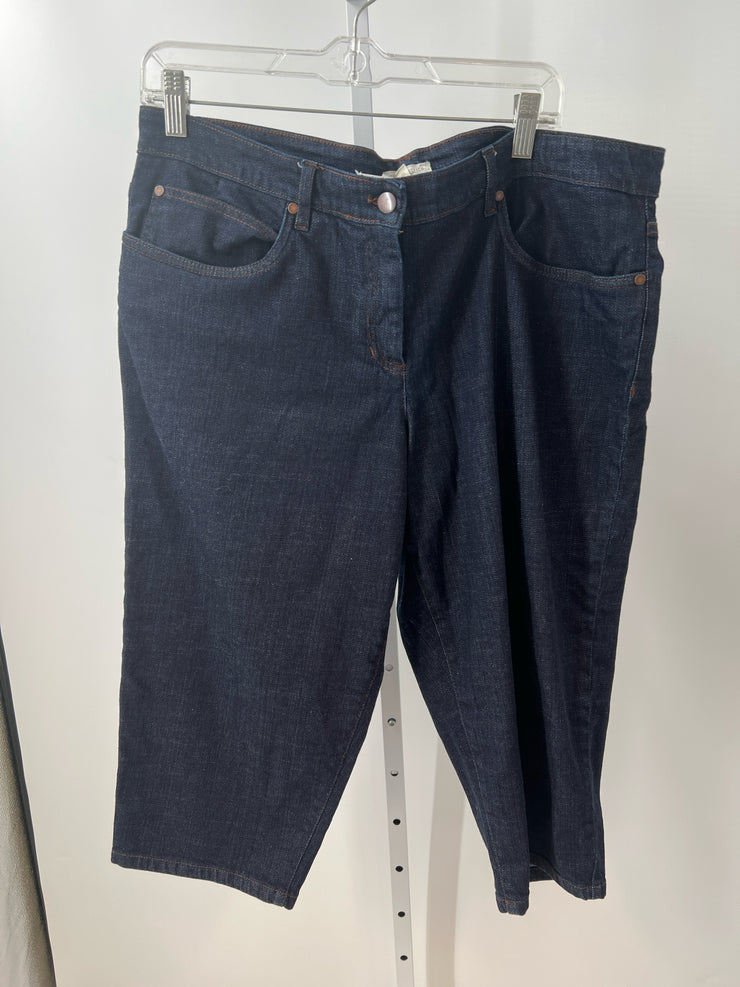 Eileen Fisher Size XL Shorts (Pre-owned)