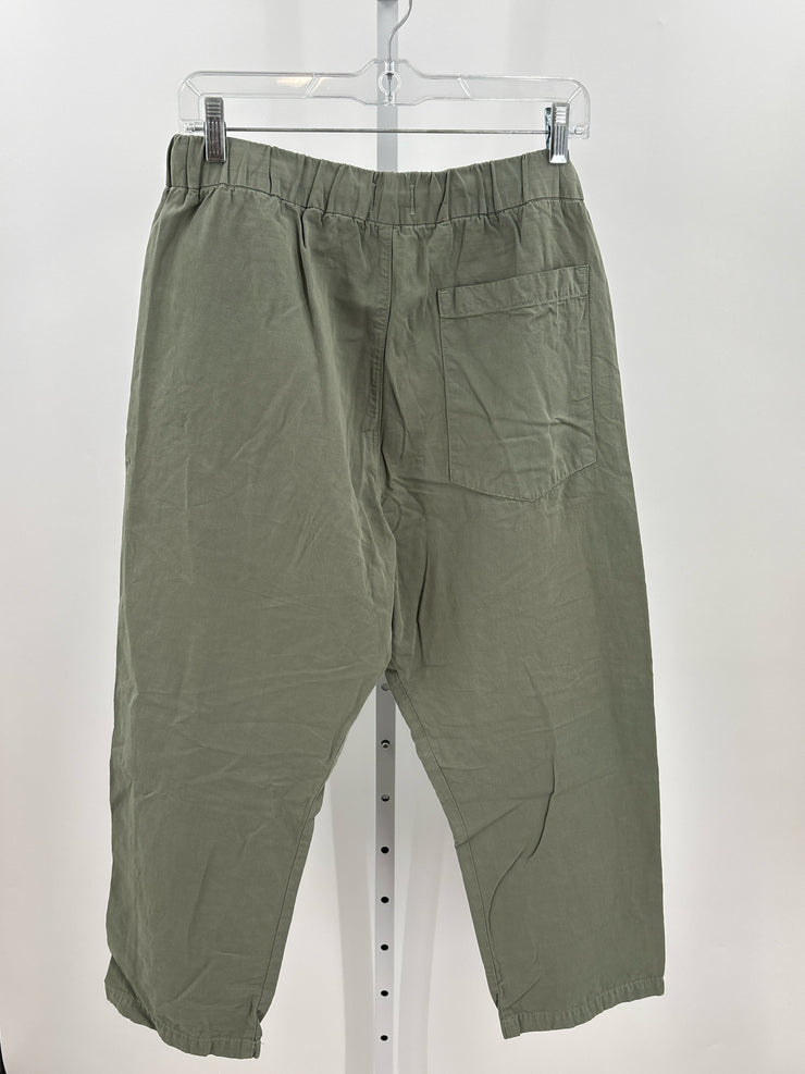 Citizens of Humanity Pants (Pre-owned)