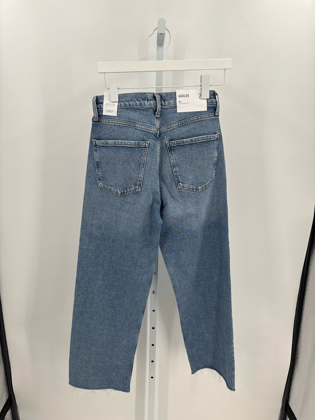 AGOLDE Jeans (Pre-owned)