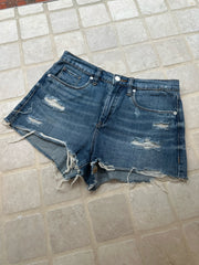 Blank NYC Size 28 Shorts (Pre-owned)