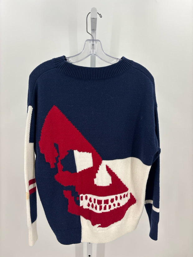 Skull Cashmere Sweaters (Pre-owned)