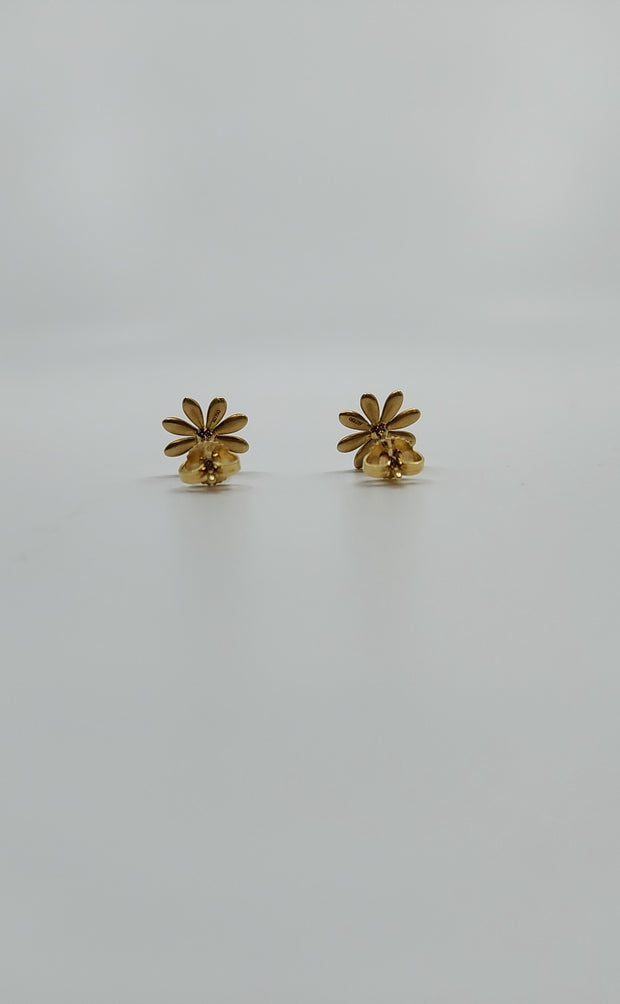 Tiffany & Co Earrings (Pre-owned)