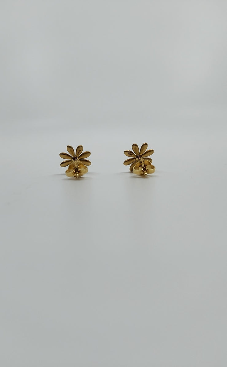 Tiffany & Co Earrings (Pre-owned)