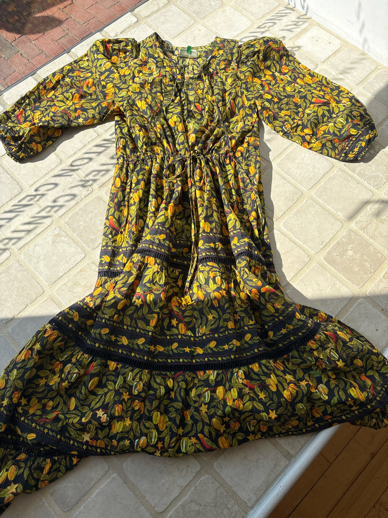 Farm Size XS Dresses (Pre-owned) – revolveboutiques