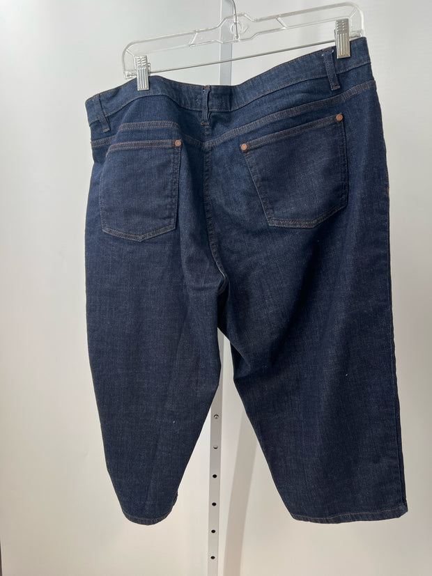 Eileen Fisher Size XL Shorts (Pre-owned)