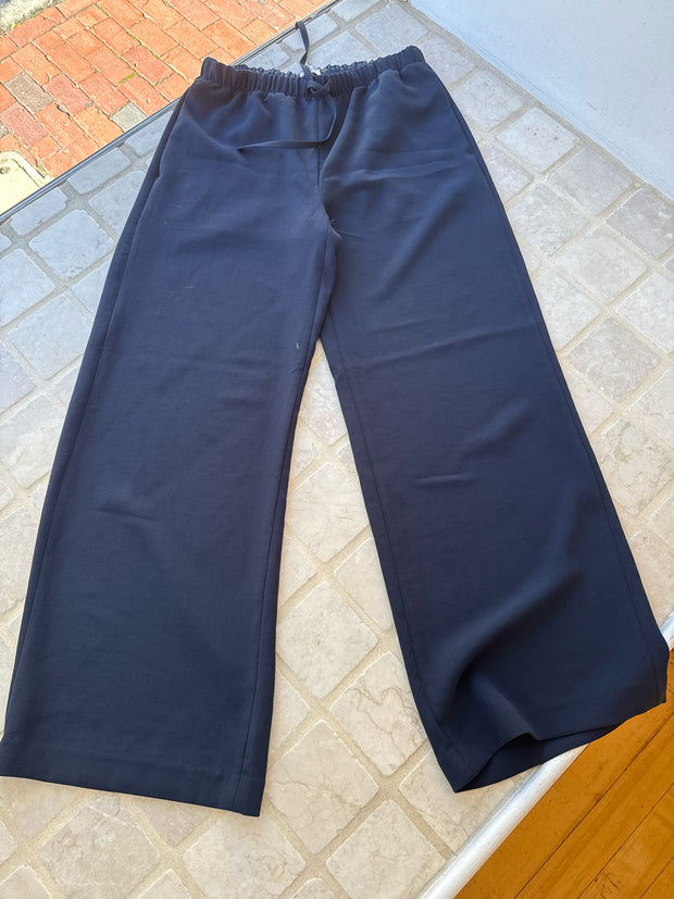 Aritzia Pants (Pre-owned)