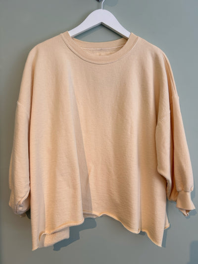 Rachel Comey Sweatshirt (Pre-owned)