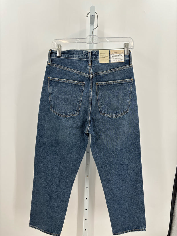 AGOLDE Jeans (Pre-owned)