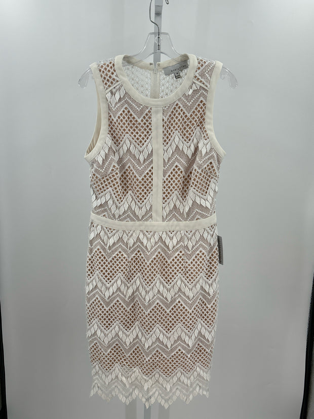 Adelyn Rae Size M Dresses (Pre-owned)