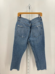 AGOLDE Jeans (Pre-owned)